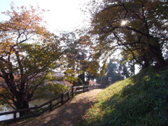 R0011101