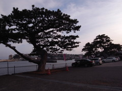 のどかな風景