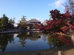 紅葉～東大寺～