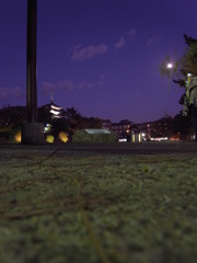 R0011029