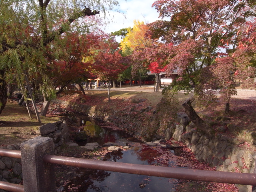 紅葉～奈良公園～