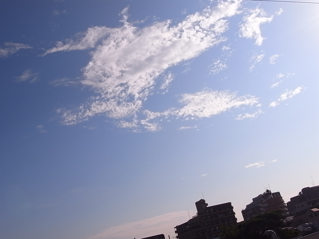 2011.6.25　今日の朝空