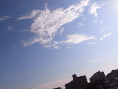 2011.6.25　今日の朝空