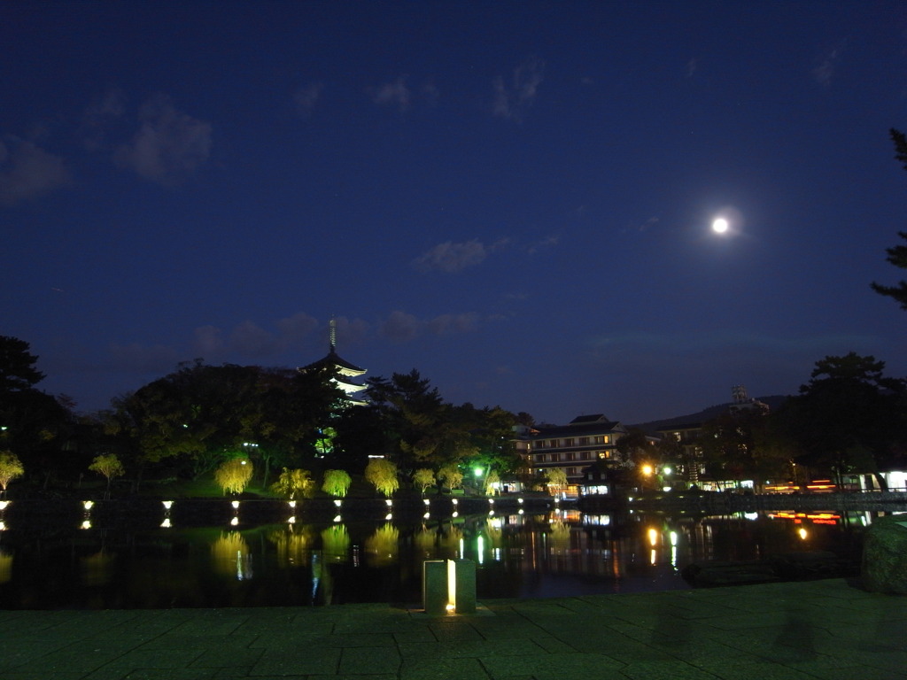 夜景～猿沢池と五重塔～