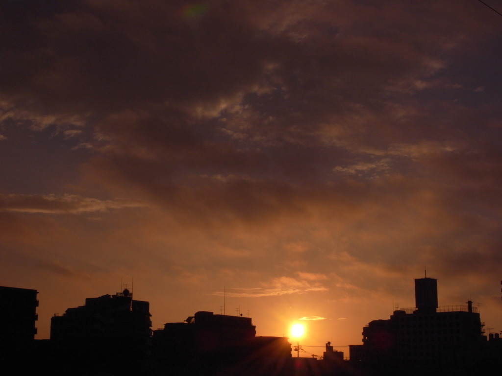 太陽登場
