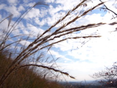 秋のかをり