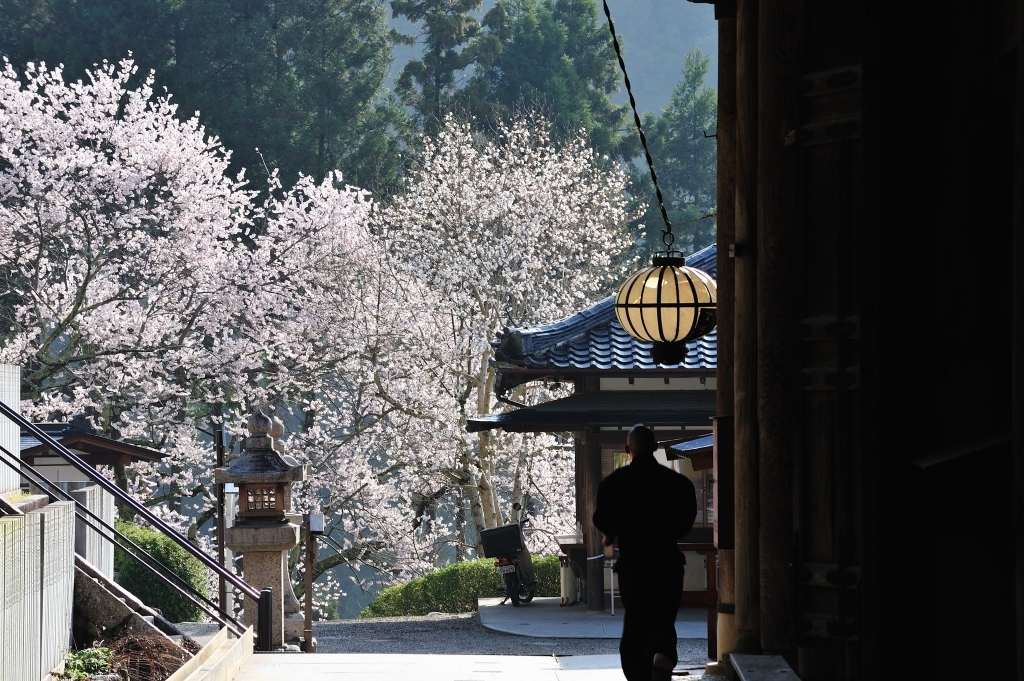 長谷寺の朝