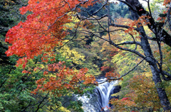 紅葉と白扇の滝