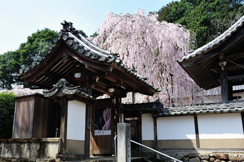 大野寺