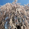 大野寺