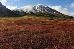 大雪山旭岳の紅葉