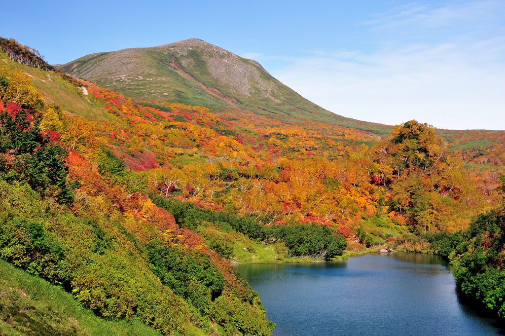 大雪山（高原沼）