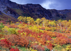 大雪山高原沼