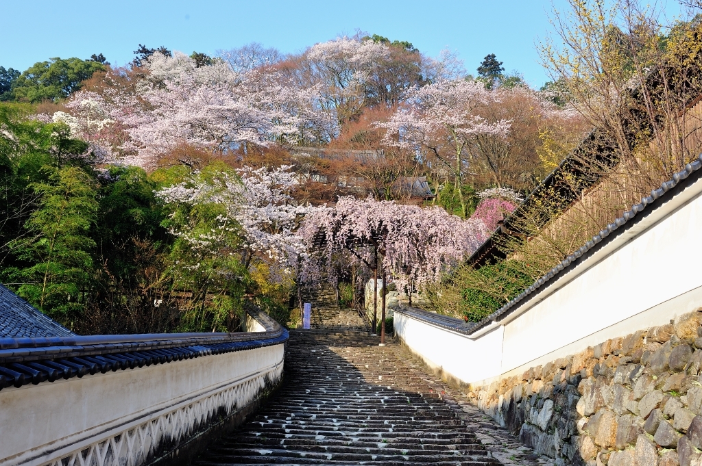 長谷寺