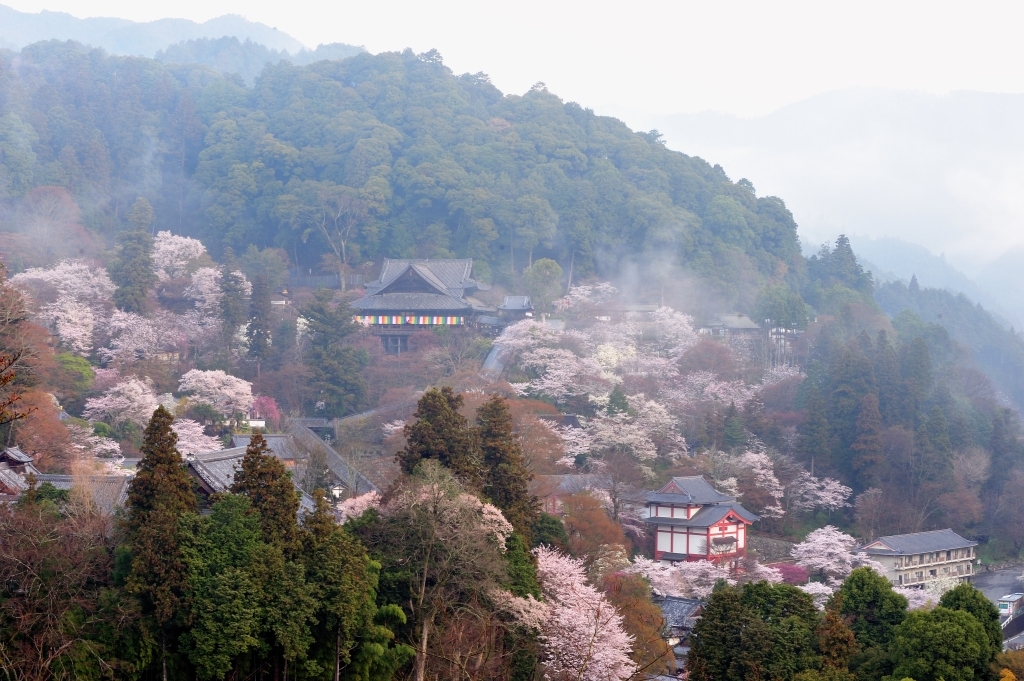 長谷寺