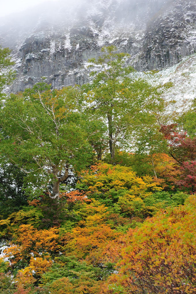 大雪山高原沼