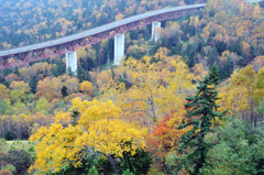 東大雪三国峠の紅葉