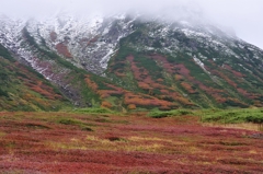 大雪山旭岳の紅葉