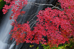 恵庭渓谷の紅葉