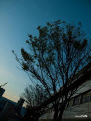 木路