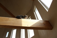 my best place 2
