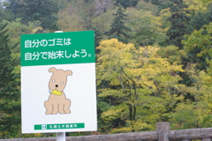看板、犬