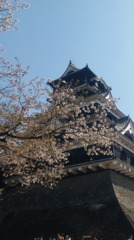 熊本城
