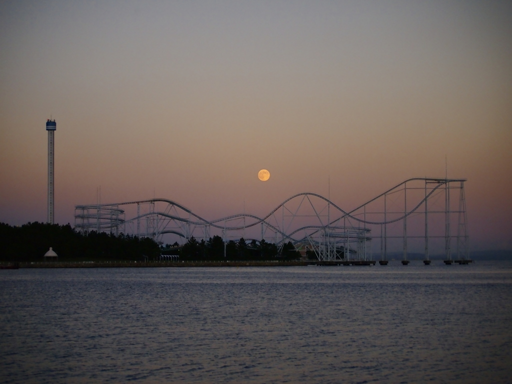 夕焼けに照らされて