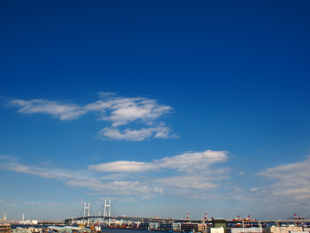 ハマの青空、天高く。