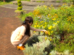 華・花