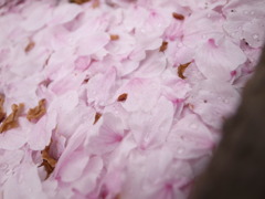花絨毯