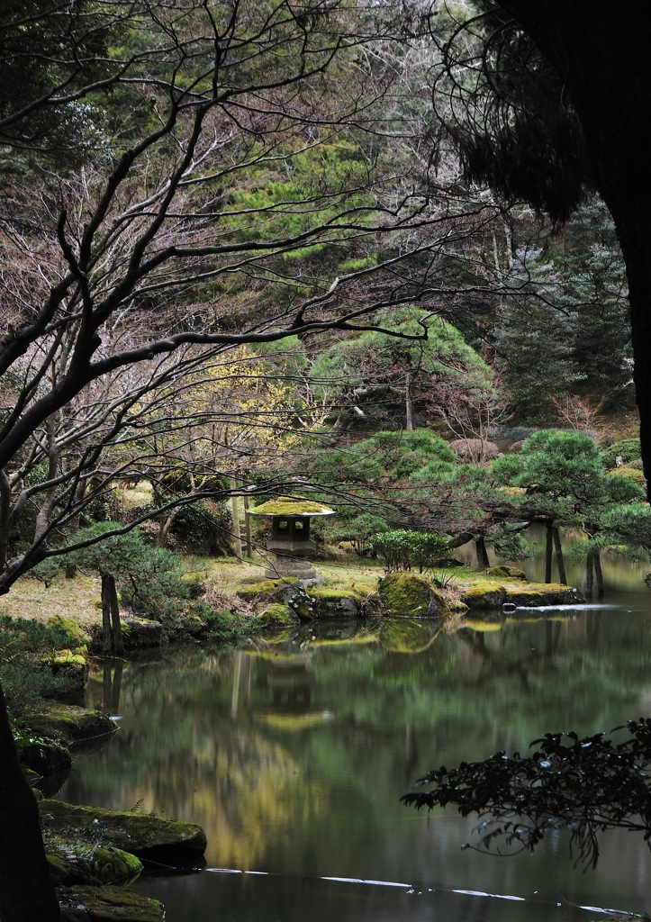 森、水面