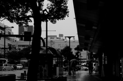 IMG_4430