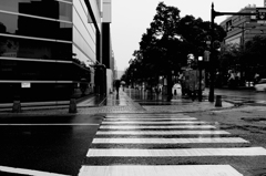 IMG_4481