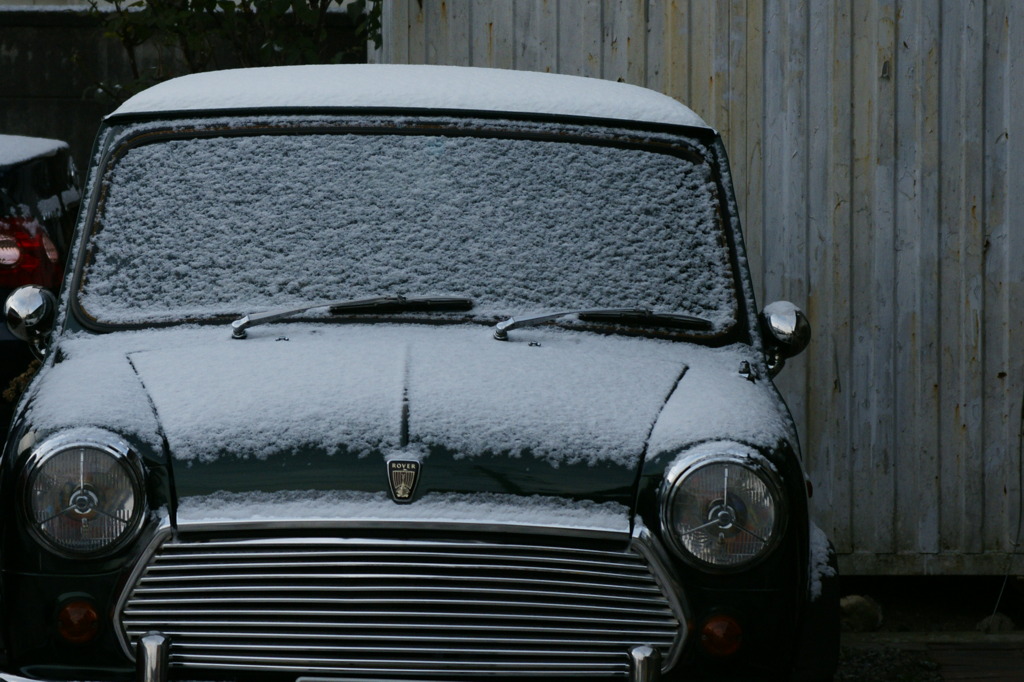 mini snow