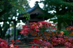 犬山寂光院2