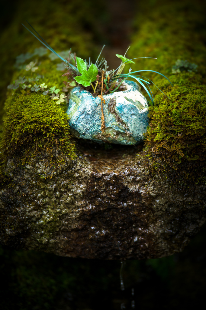 kyoto gardening