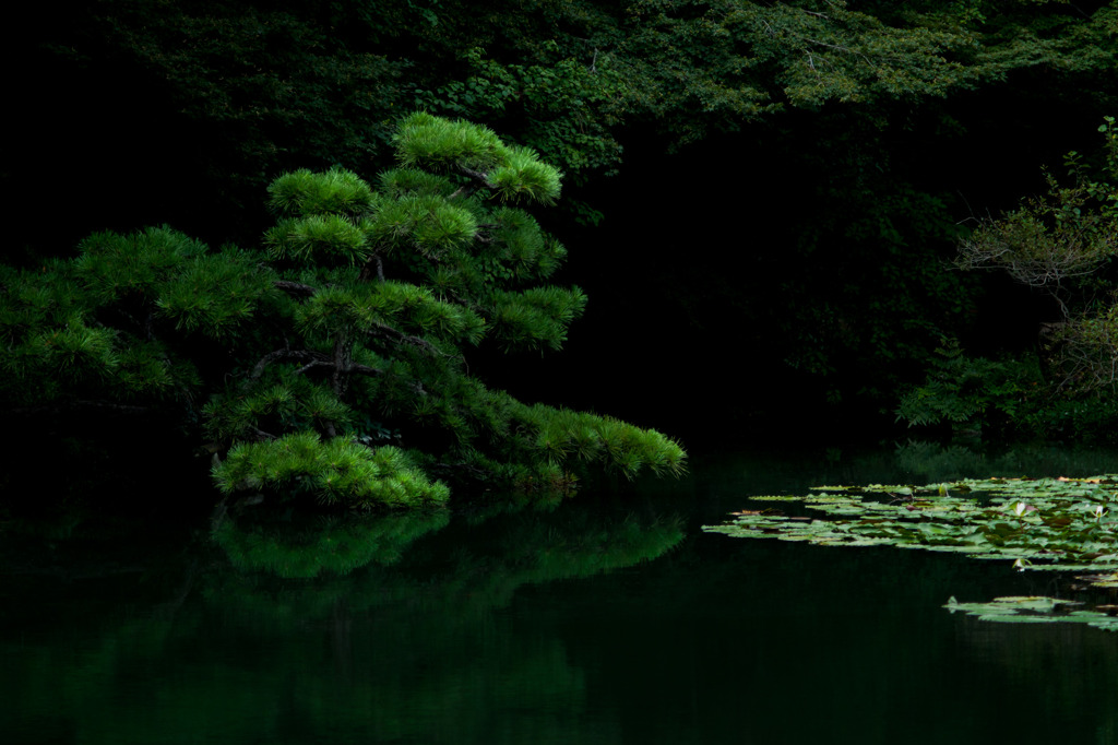 神楽