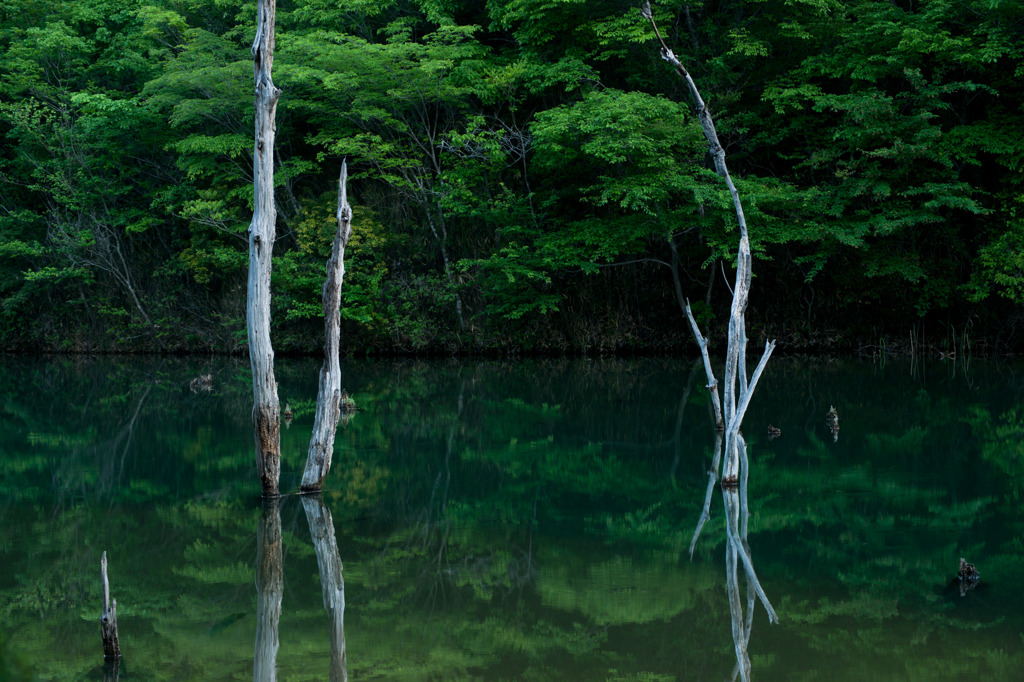 海上池II