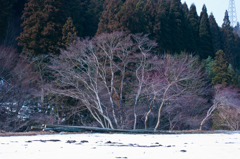 Winter, Again