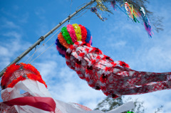 夏空にそよぐ七夕