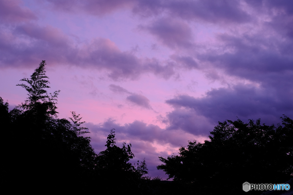 twilight