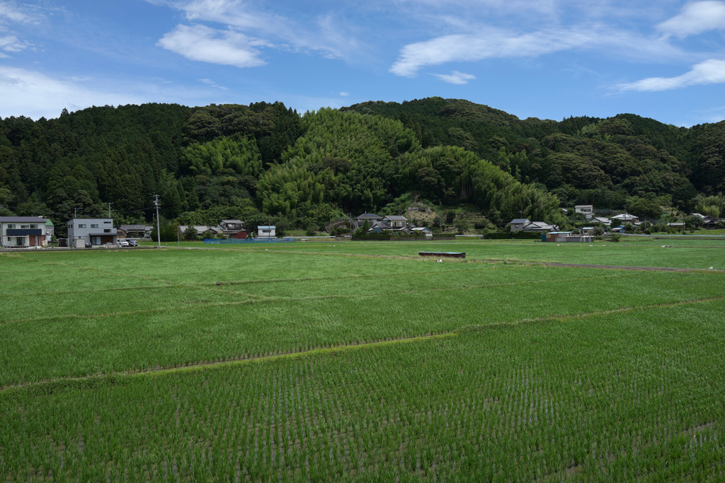 広がる風
