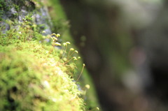 生きる