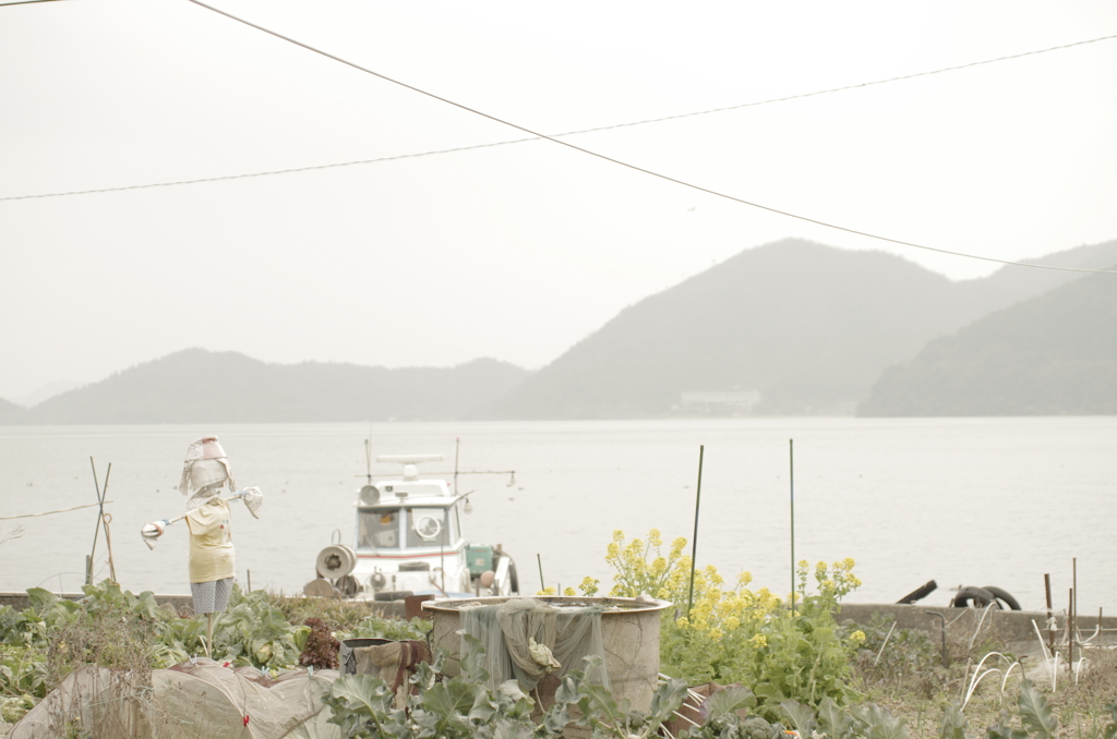 島の生活　＃5