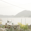島の生活　＃5