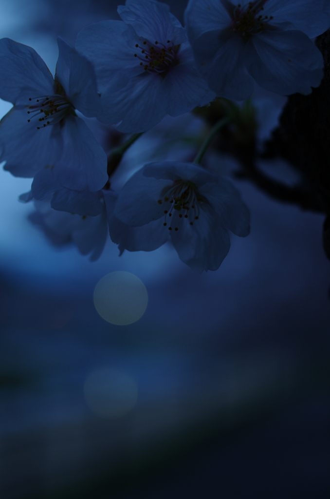 未練