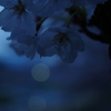 未練
