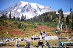 Mt. RAINIER