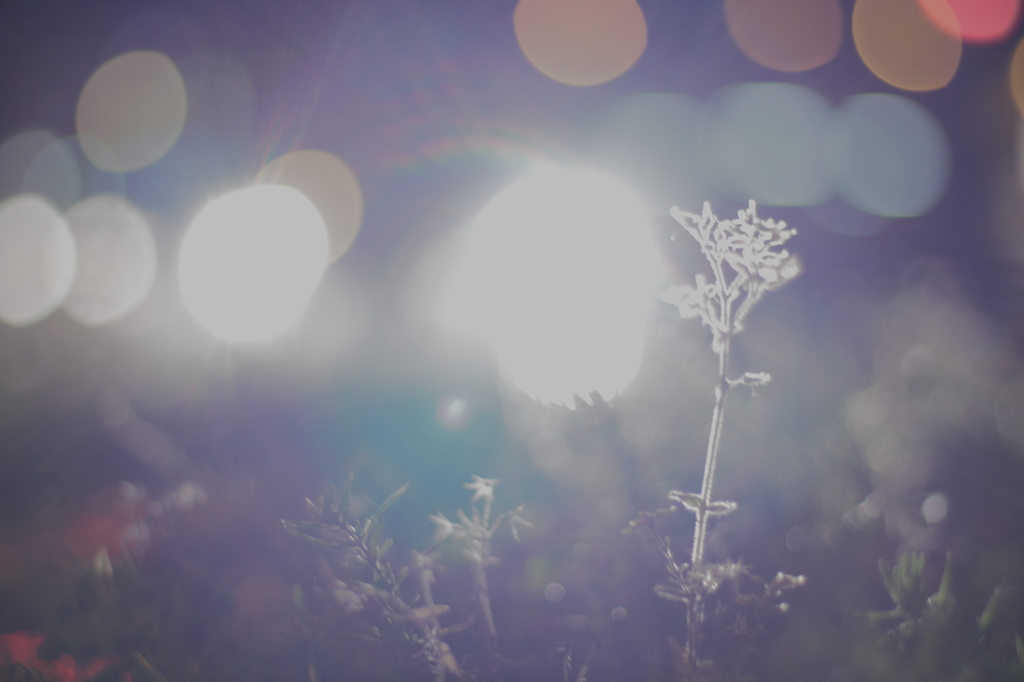 Heaven's light